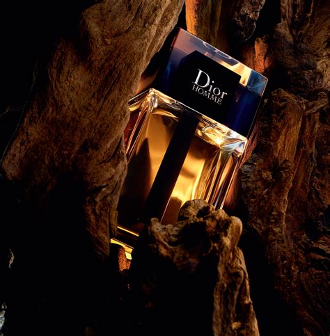 new dior shoes 2020|Dior cologne 2020.